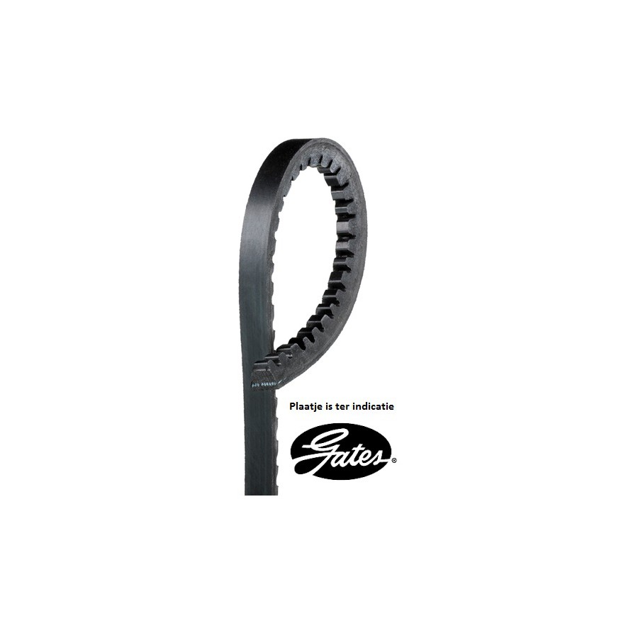 V-Belt