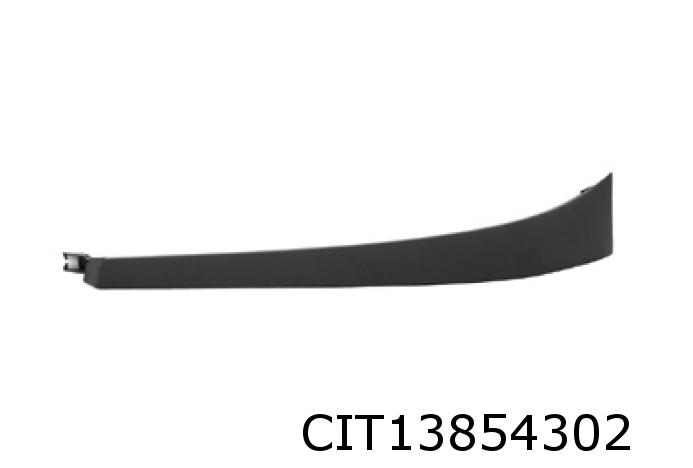 Headlight Trim