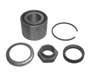 Radlager C2/C3/C3 Pluriel / 1007 hinten