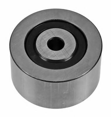 Puleggia di rinvio DW10