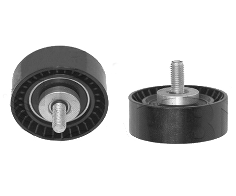 Poulie de renvoi DW12