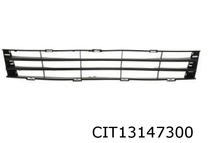 Ventilation Grille, bumper