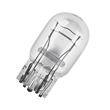 Lampada base in vetro 12V 21/5W