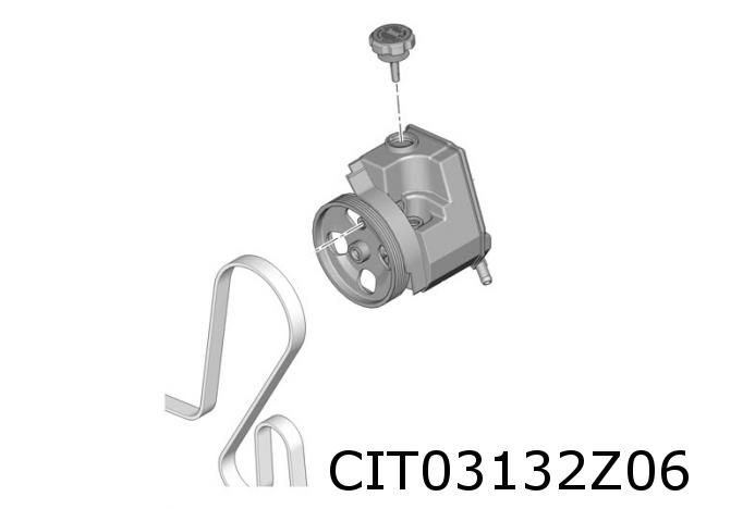 Servopumpe Picasso EW10J4 EW7J4 ab Org.8844