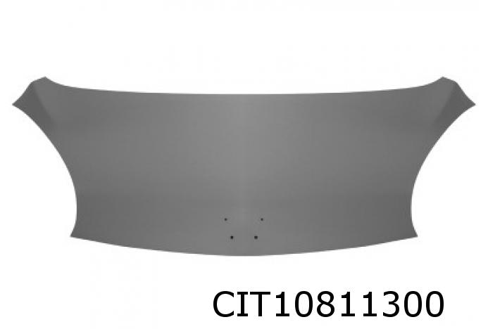 Bonnet