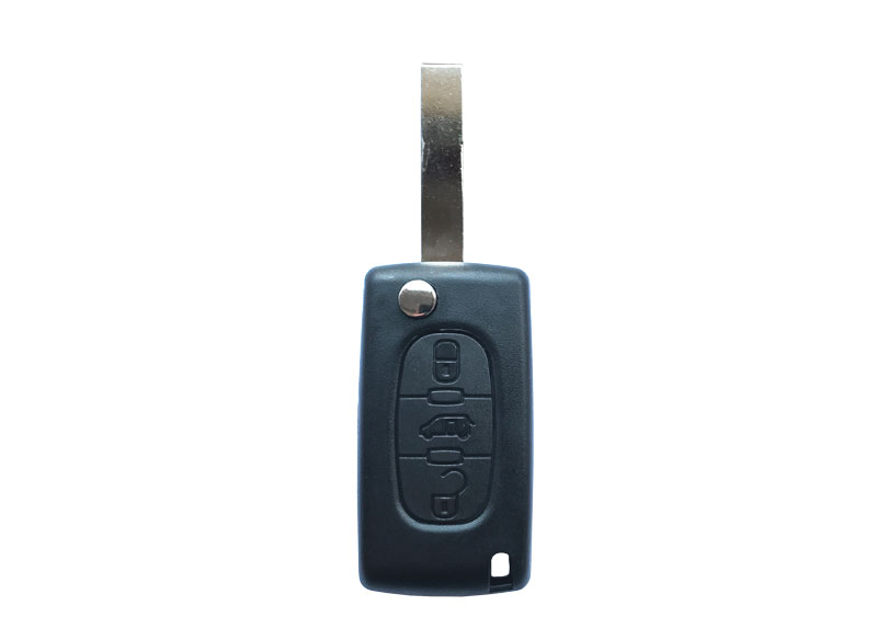 Guscio telecommando 3 tasti con portellone, supporto della batteria sul guiscio
