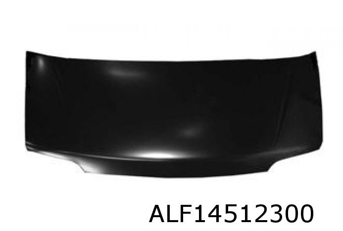 Motorhaube