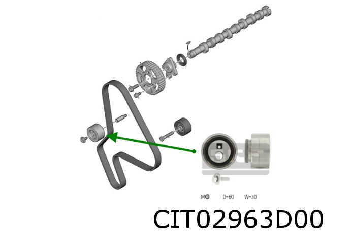 Spannrolle für Zahnriemen Berl/C4/C5/C15/Eva/Jumpy/Pic/Xsara