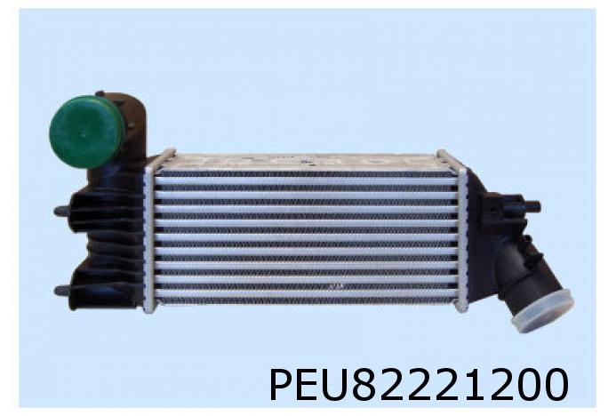 Intercooler, charger