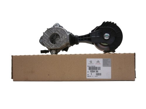 Antriebselement (Reib Rad)