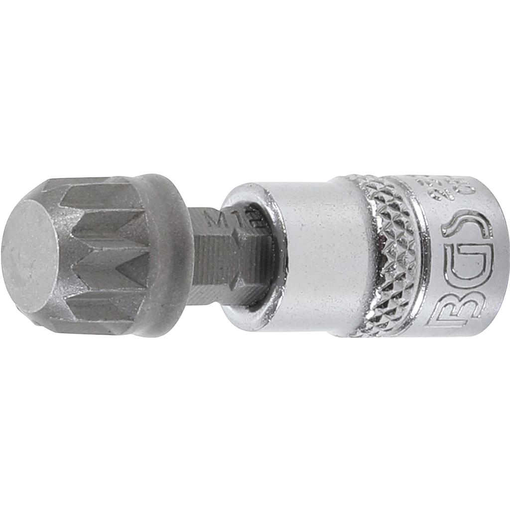Bit-Einsatz | Antrieb Innenvierkant 6,3 mm (1/4&quot;) | Innenvielzahn (für XZN) M12