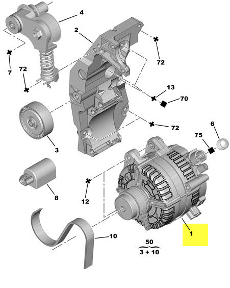 DYNAMO NIEUW W50